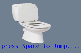 a toilet